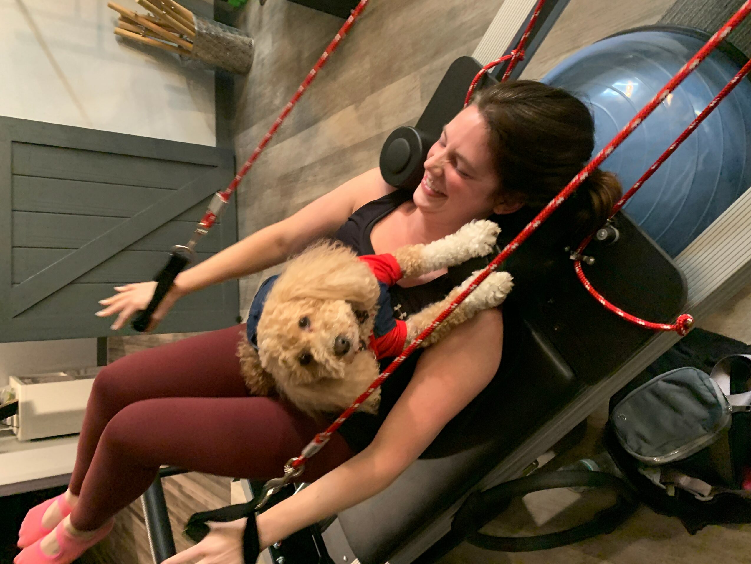 Woman smiling on a swing with a small dog, indoors with wooden flooring and furniture nearby.