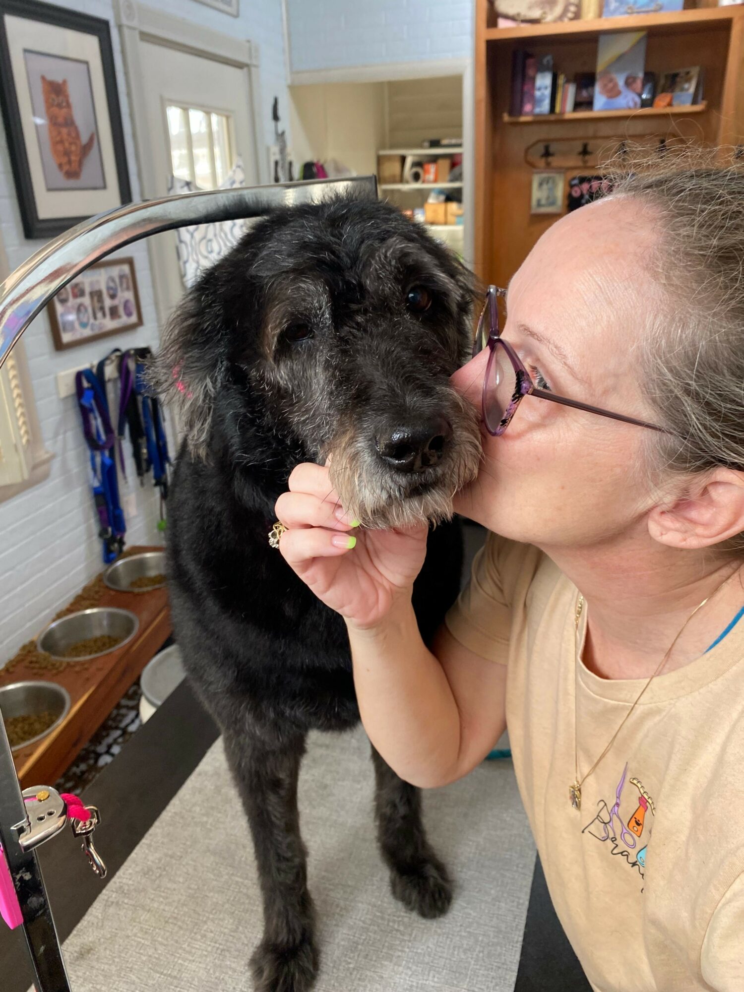 Woman kissing large black dog in a room with shelves and framed pictures.