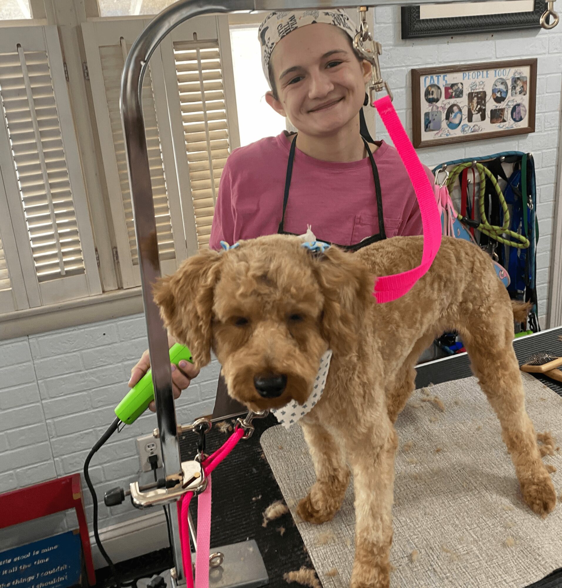 Young girl smiling with a bandana on her head, standing behind a large, curly-haired dog on a grooming table.