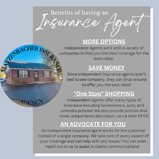 A flyer promoting insurance agents with sections about options, saving money, and advocacy, featuring a small house image.