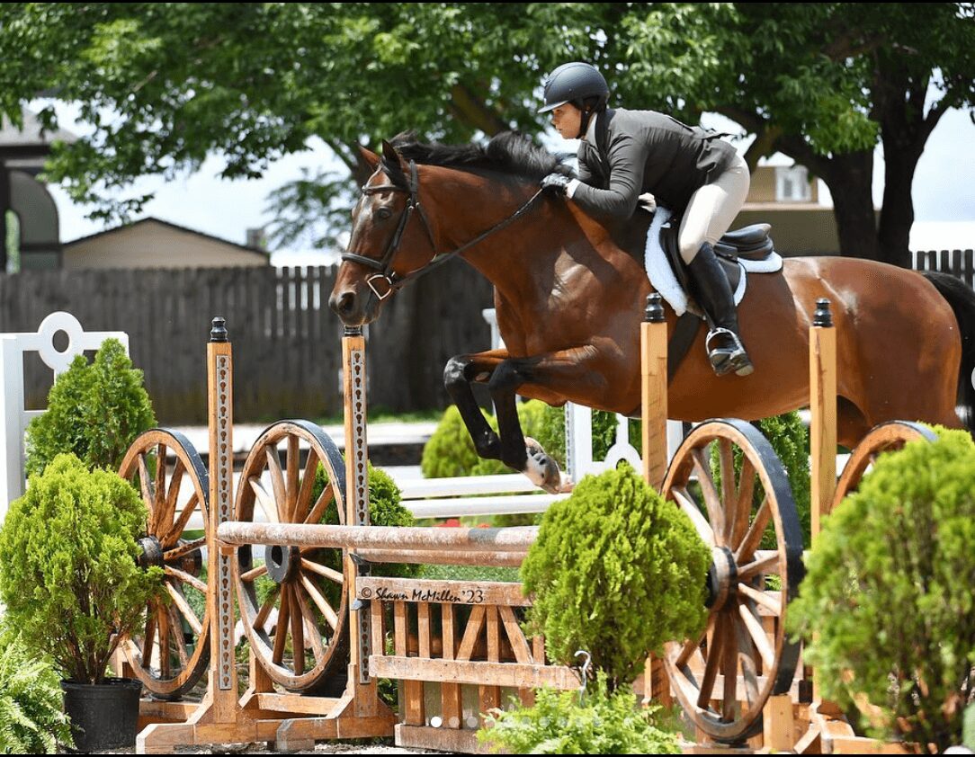 Horse and rider jumping over obstacle in a garden setting with trees and a fence in background.