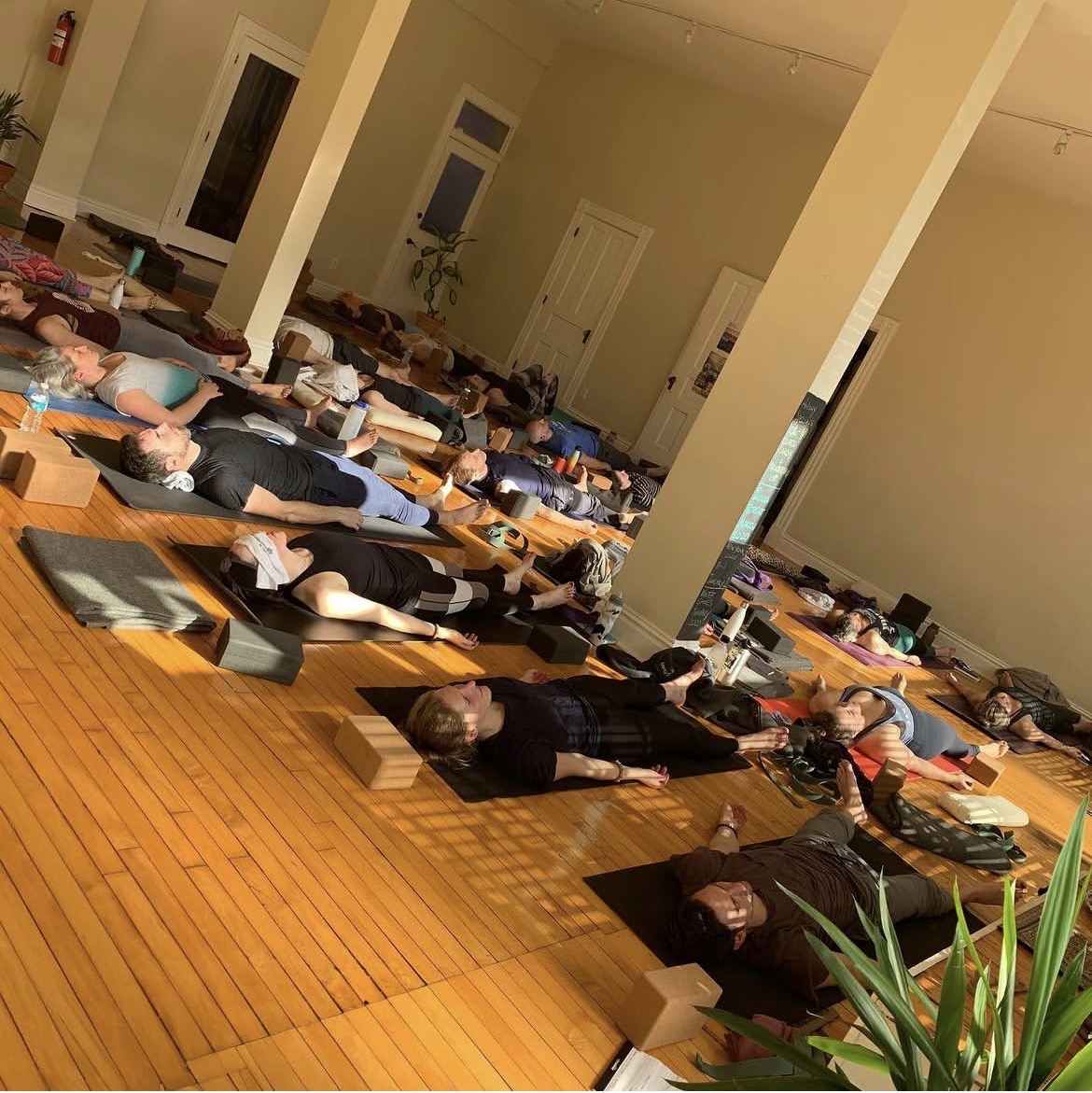 People lying on mats in a spacious room, possibly participating in a group activity or class, with wooden flooring and a plant in the foreground.