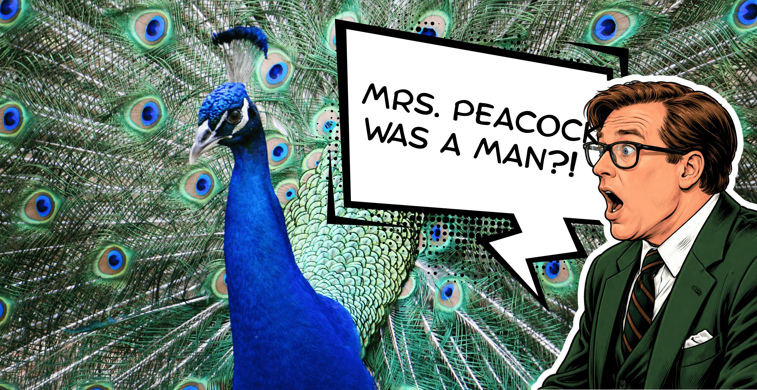 A peacock with vibrant feathers and a man in glasses and a suit with a speech bubble saying, 'Mrs. Peacock was a man?!'