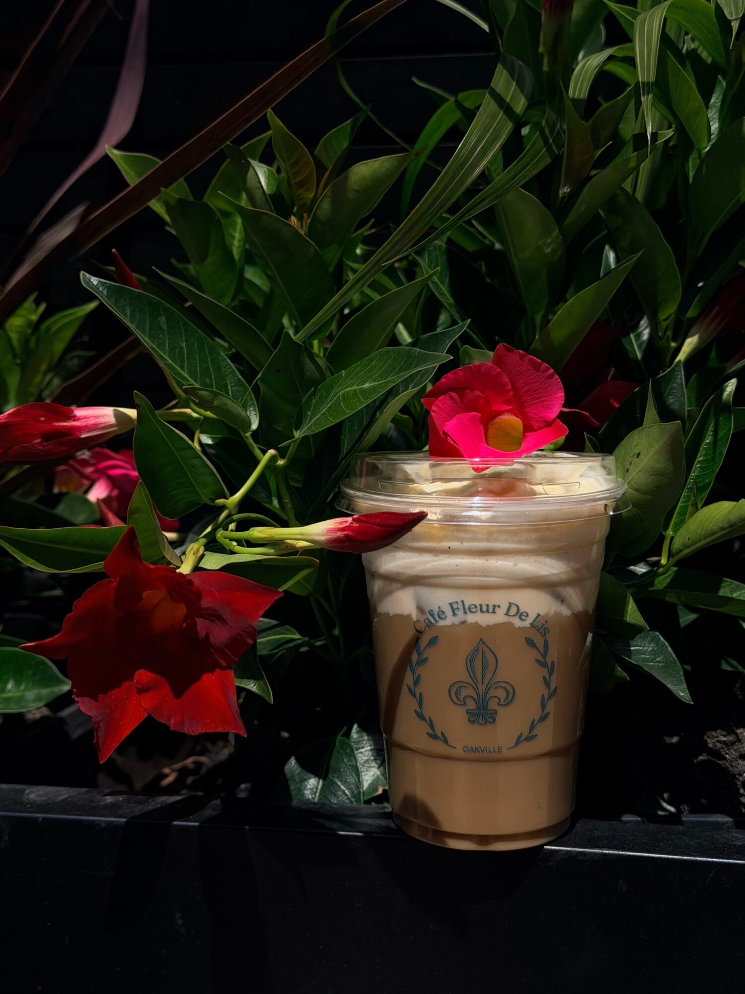A plastic cup with a logo and text, surrounded by green leaves and pink flowers, on a dark surface.