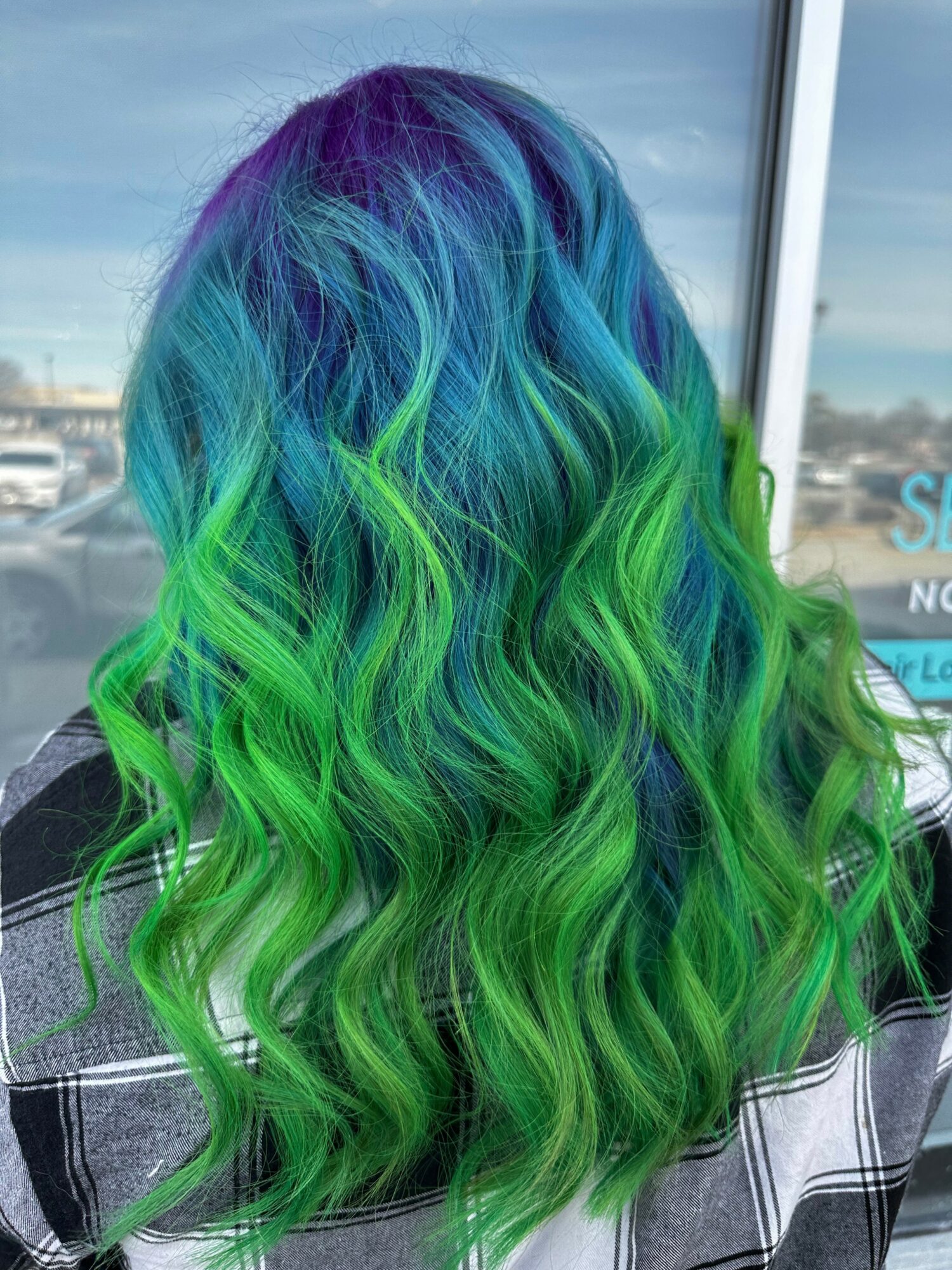 Back view of a person with long, wavy hair dyed in shades of blue, green, and purple.