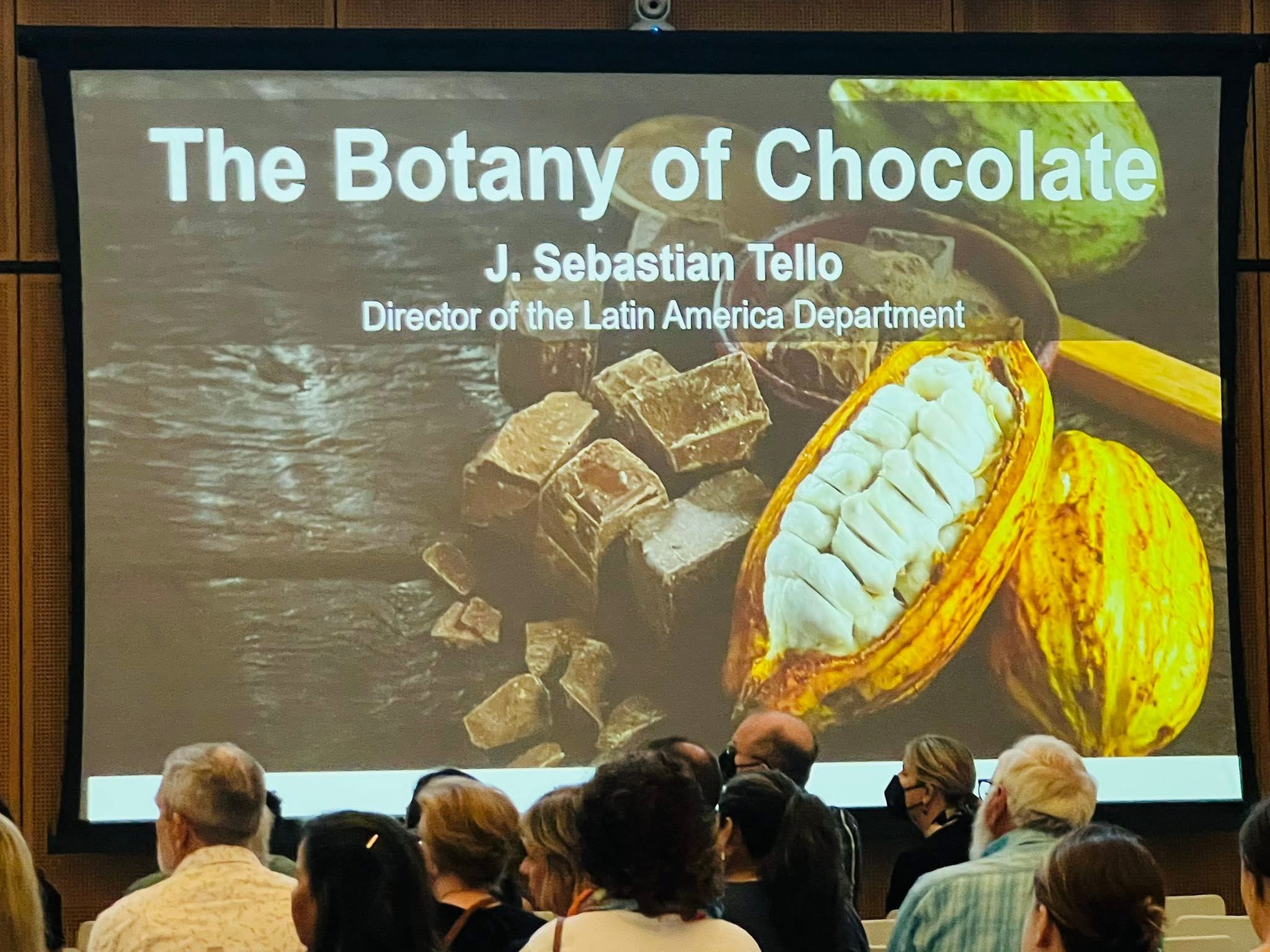 Presentation slide titled 'The Botany of Chocolate' with an image of cacao beans and a cacao pod, audience watching.