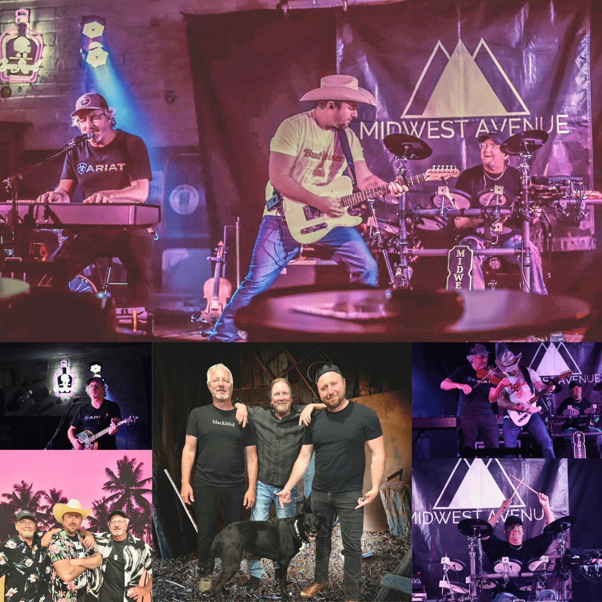 Band performing on stage with three musicians, one playing guitar, one on drums, and a keyboardist, with a band photo below. Word 'MIDWEST AVENUE' visible.