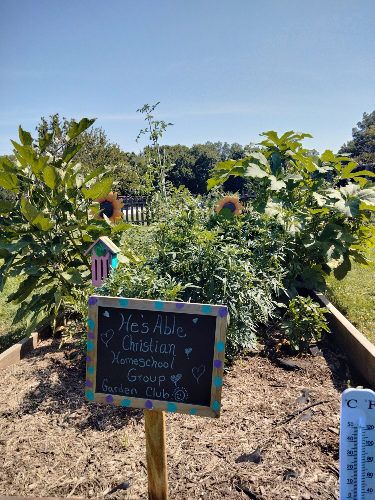 Garden with plants, a colorful sign, and a blue sky, indicating a school or community garden setting.