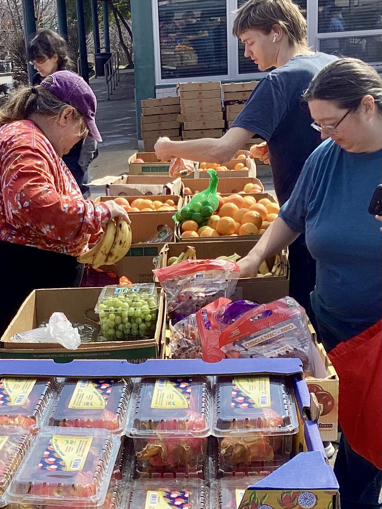 People sorting and packing oranges and grapes at a table outdoors, with boxes and plastic containers nearby.