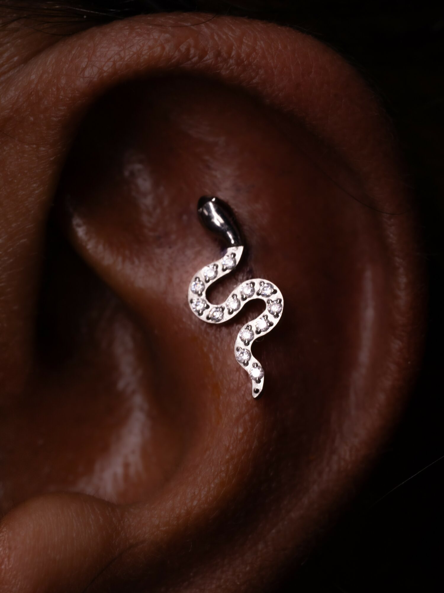 Close-up of a person's ear with a snake-shaped earring decorated with small stones.