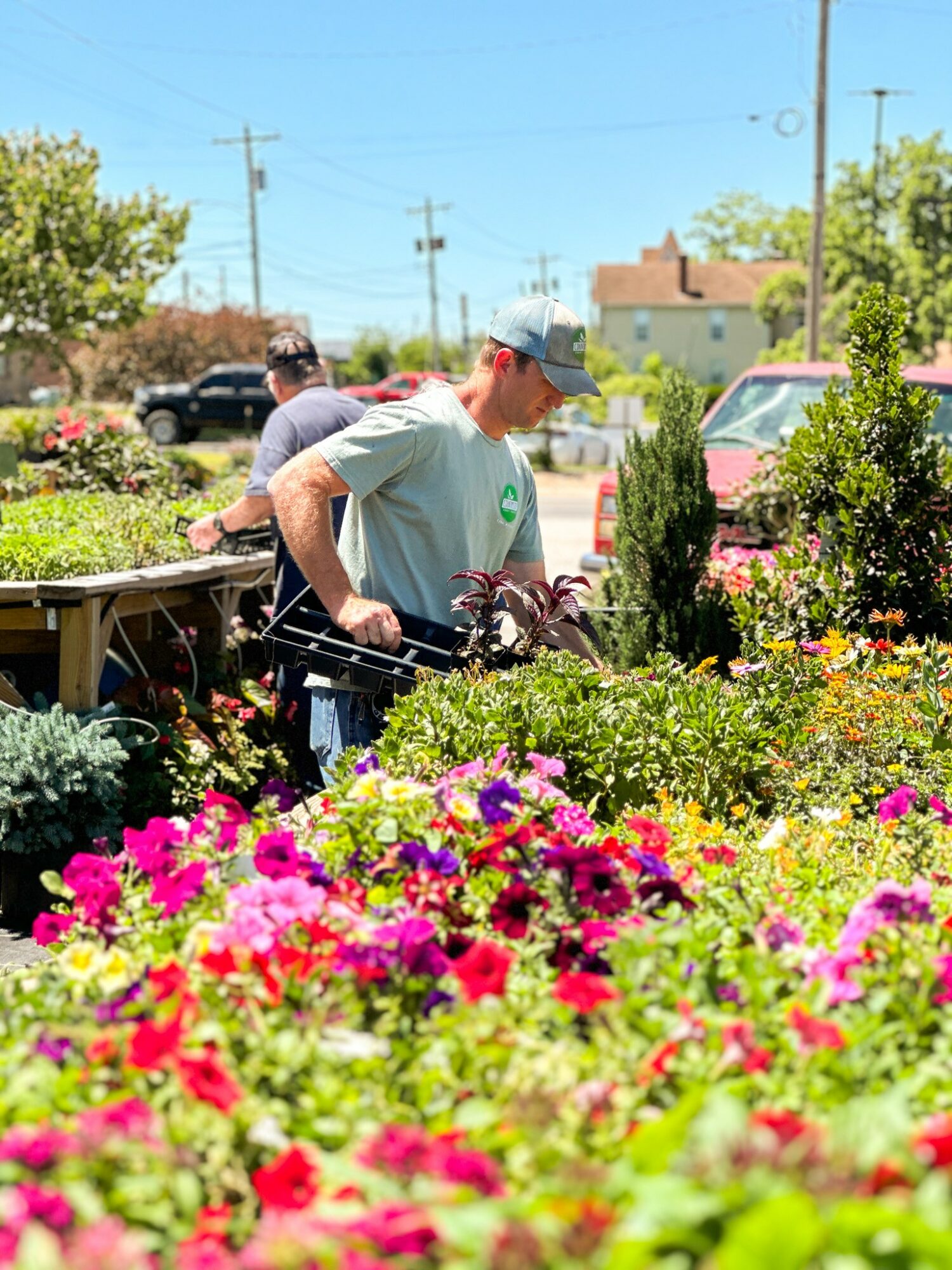 People shopping at a flower stand outdoors with colorful flowers and greenery, sunny day, houses and cars in background.