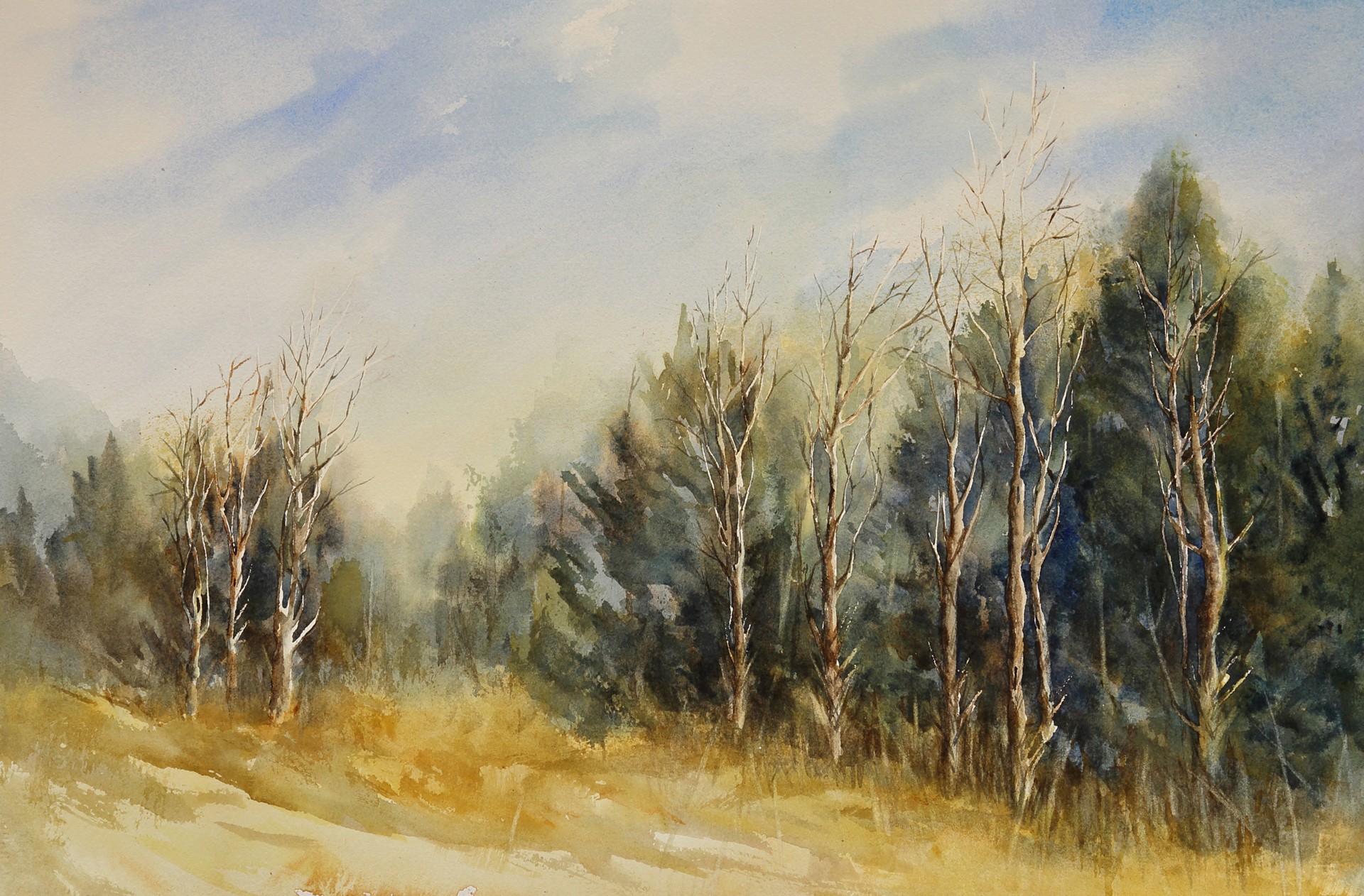 Landscape painting of trees and sky with soft colors and brushstrokes, depicting a natural scene.