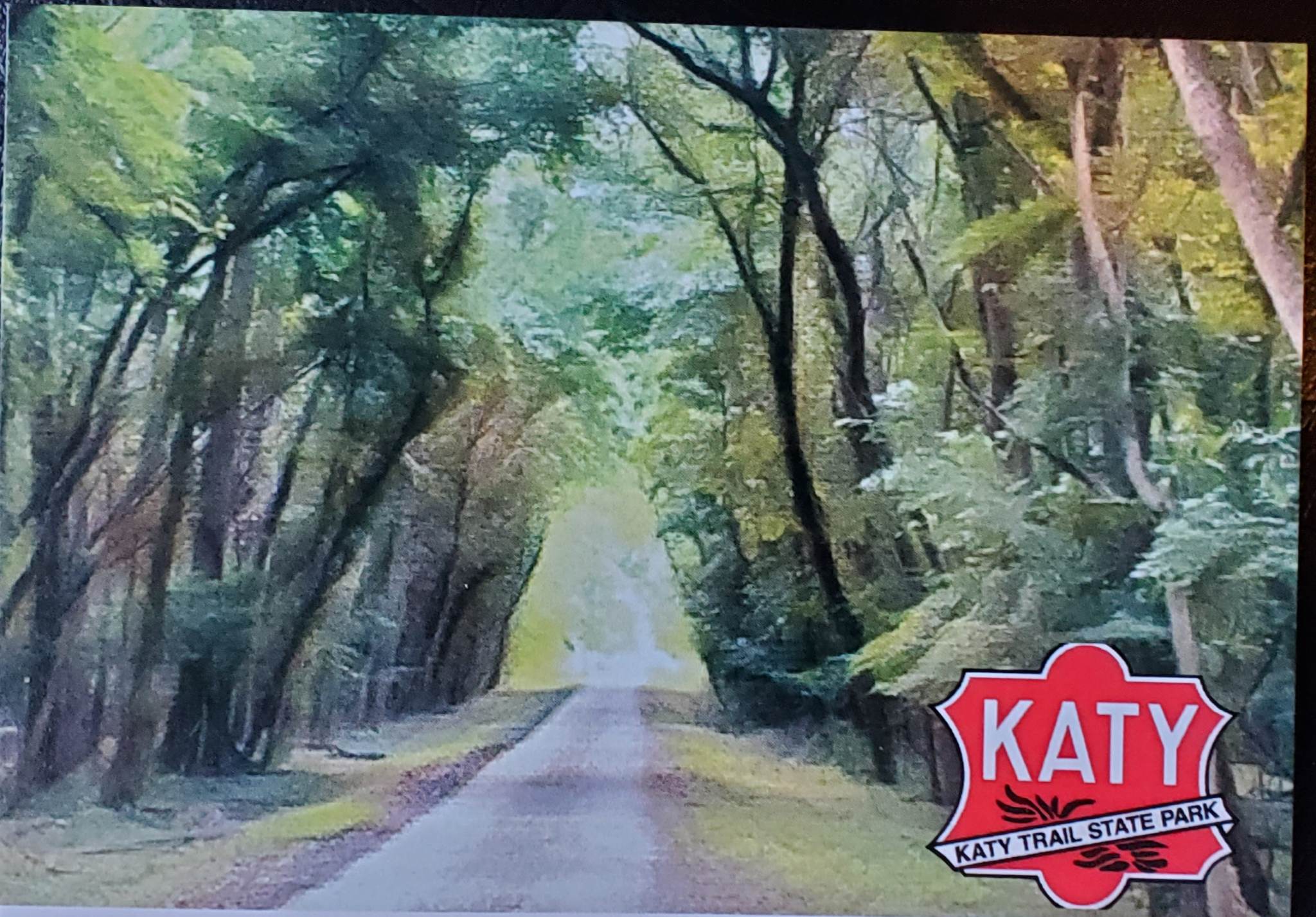 A forested road with trees arching overhead, sunlight shining through, and a park logo in the bottom right corner.