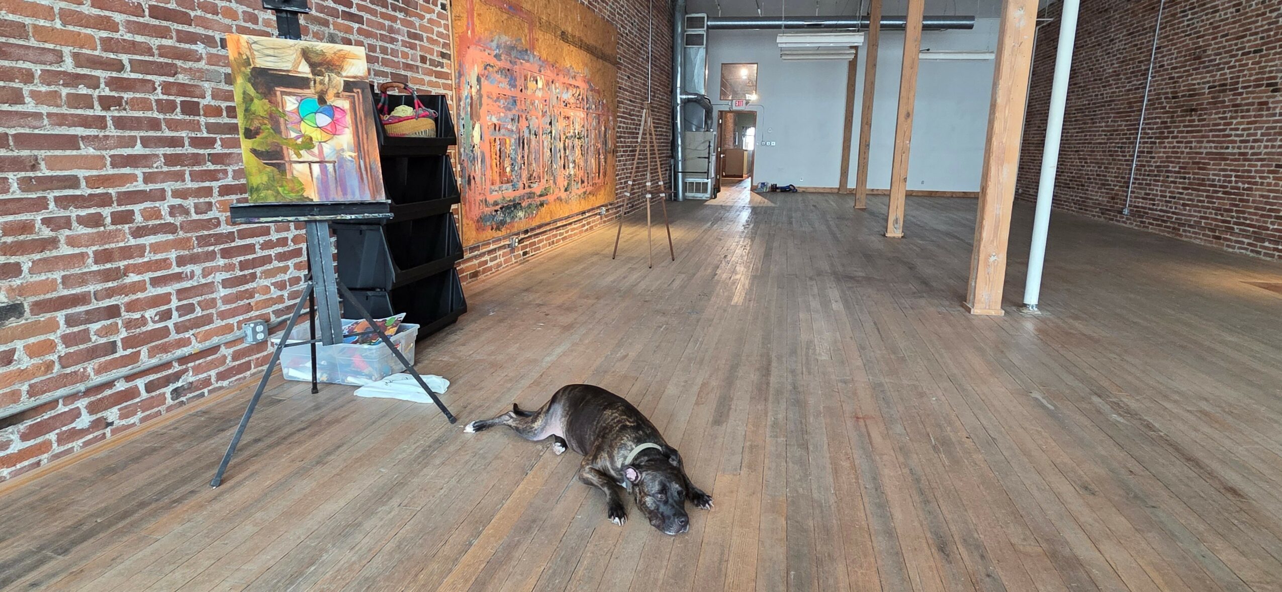 Cat lying on wooden floor near brick wall and painting, in a spacious room with exposed brick and wooden beams.