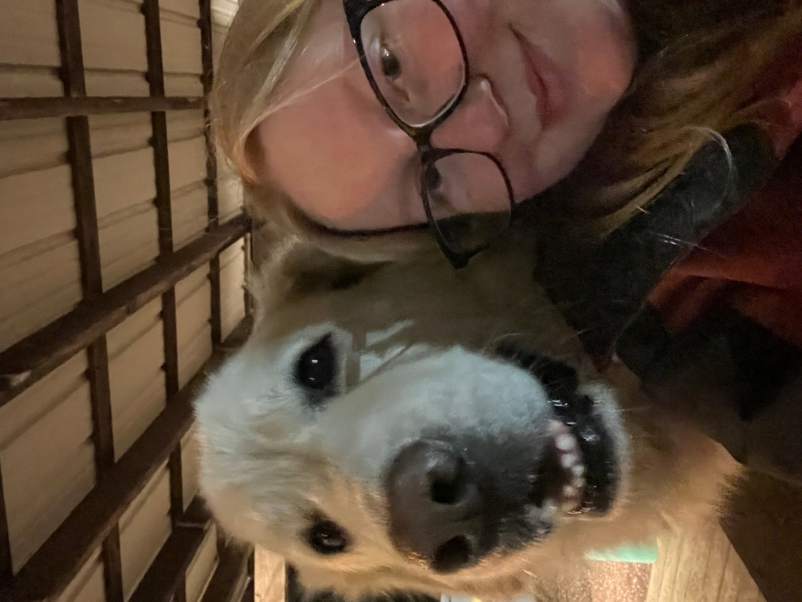 Person with glasses and blonde hair taking a selfie with a dog, both lying down indoors.