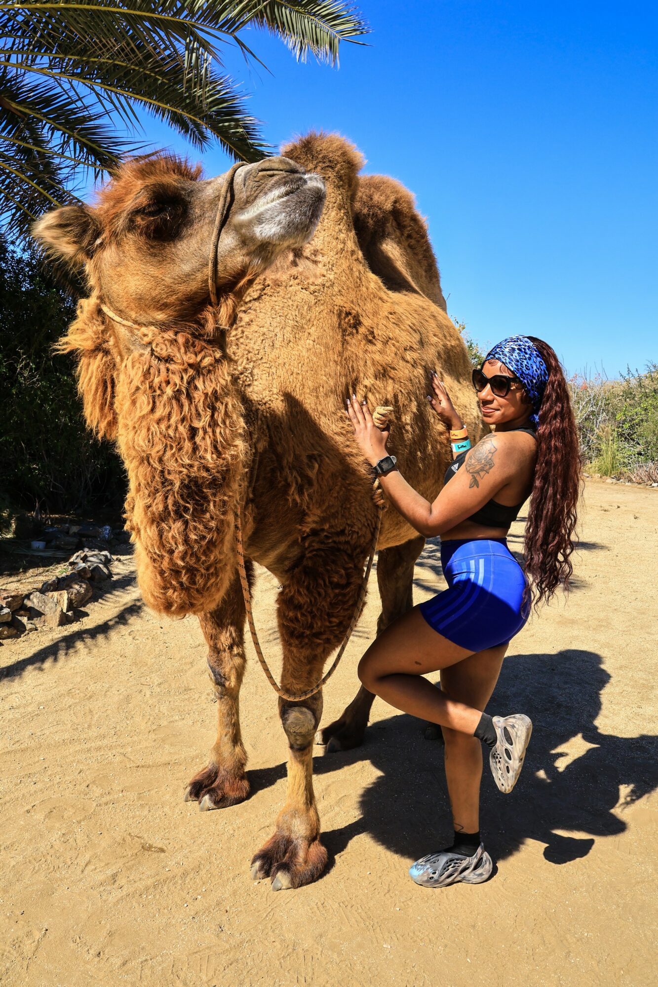 Woman in sunglasses and blue outfit standing next to a camel outdoors on sandy ground with trees and blue sky.