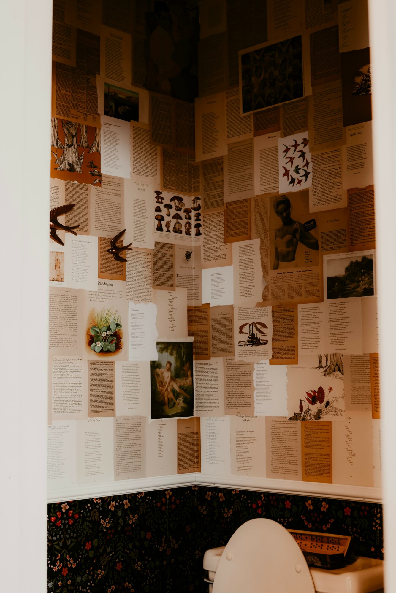 Corner of a room with a wall covered in books, photographs, and decorations, and a white object at the bottom.