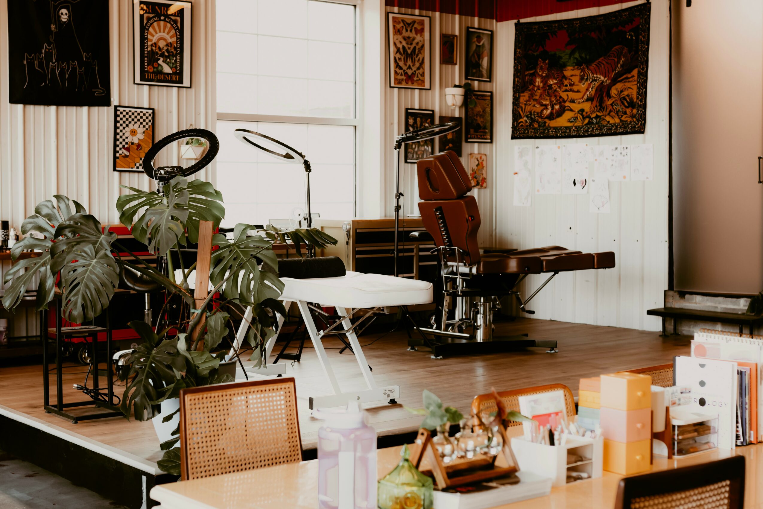 Room with plants, furniture, and artwork on walls, including a window and a medical examination table, in a cozy interior.