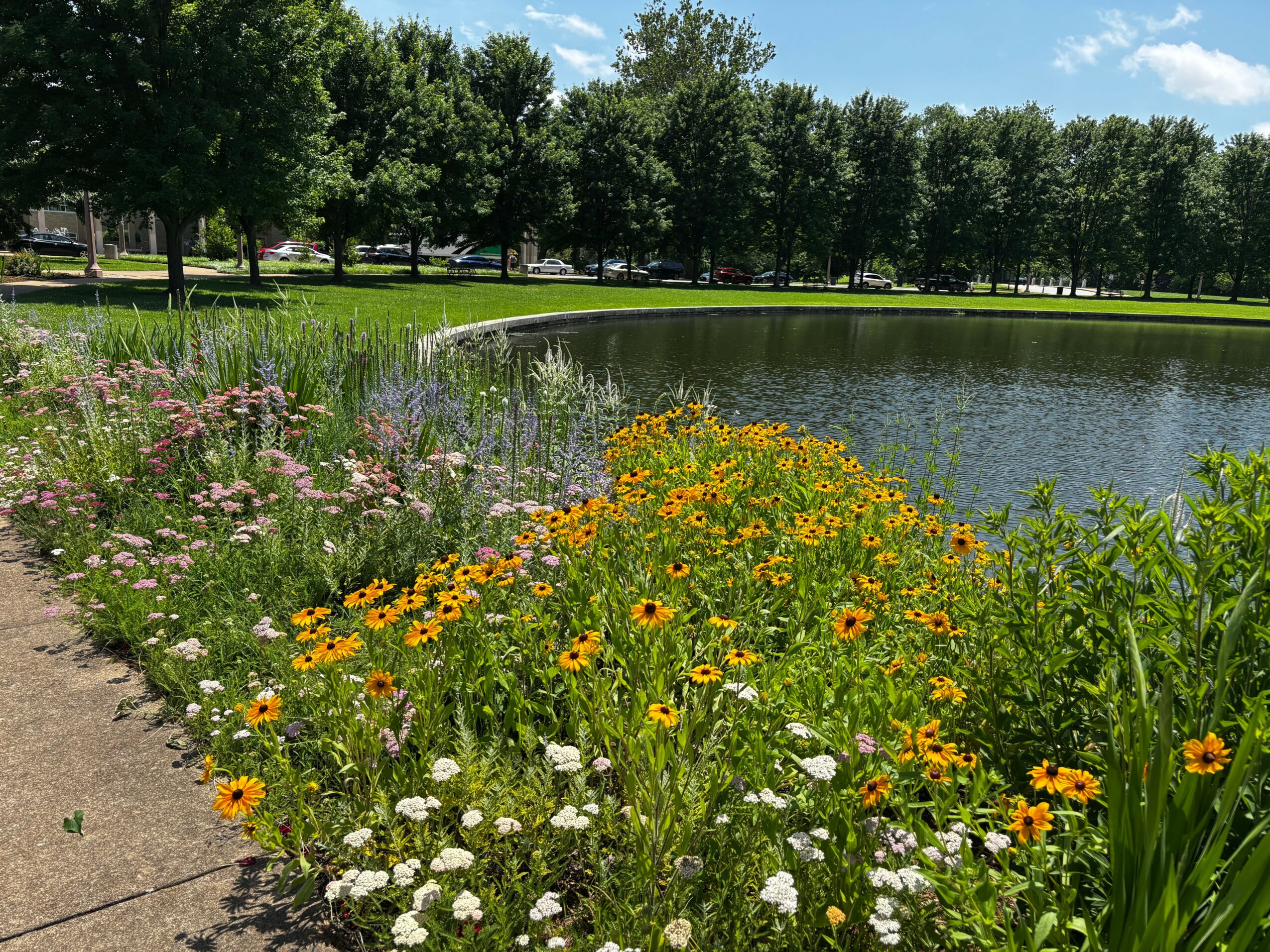 A park scene with a pond, colorful flowers along the path, and trees in the background under a blue sky.