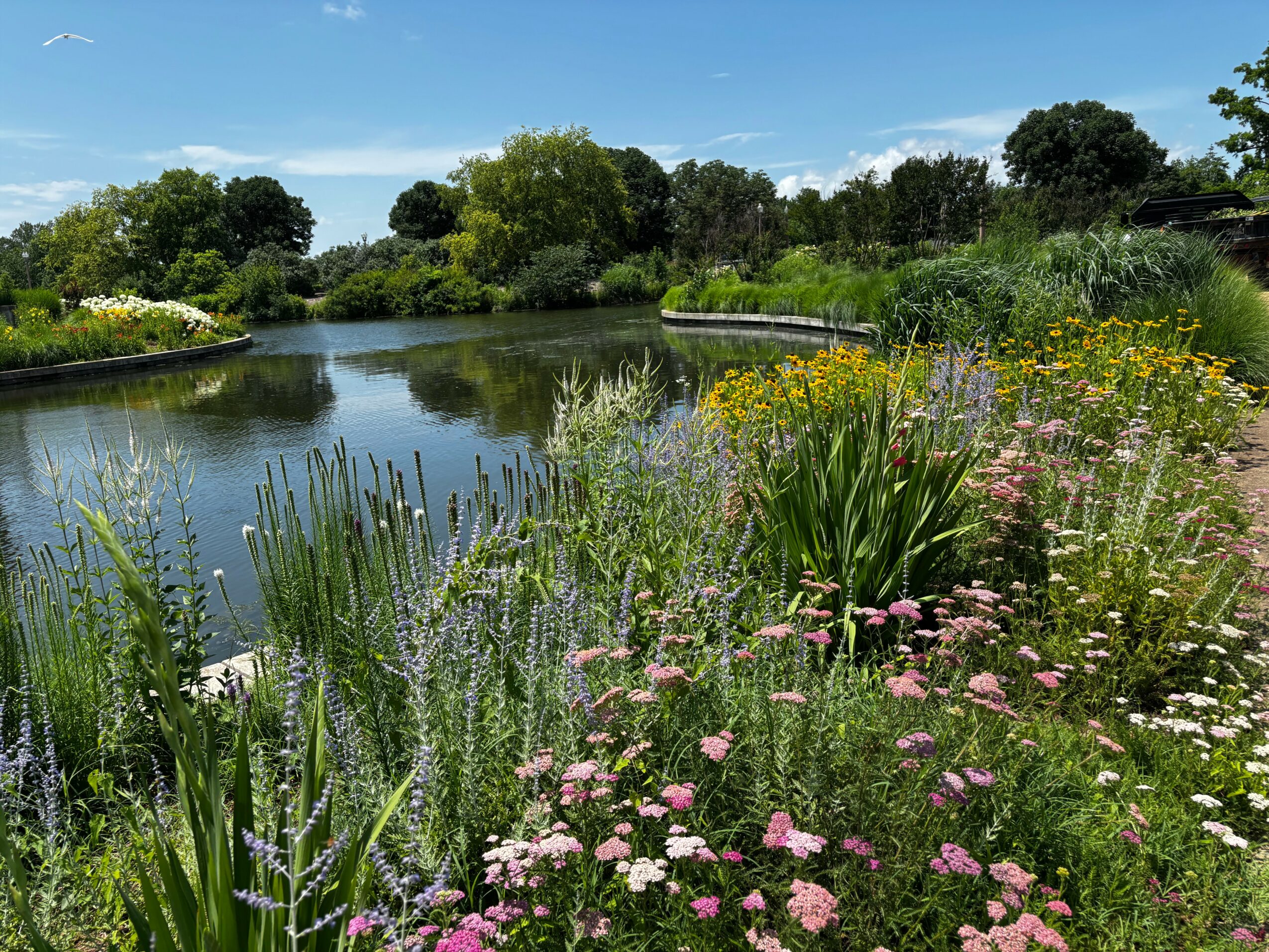 A peaceful garden with a pond, lush green trees, and colorful flowers along the water's edge under a blue sky.