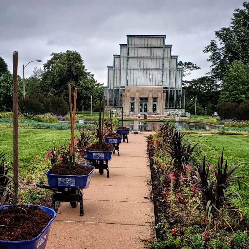 Pathway leading to a glass building with plants in blue containers on both sides, surrounded by greenery and trees.