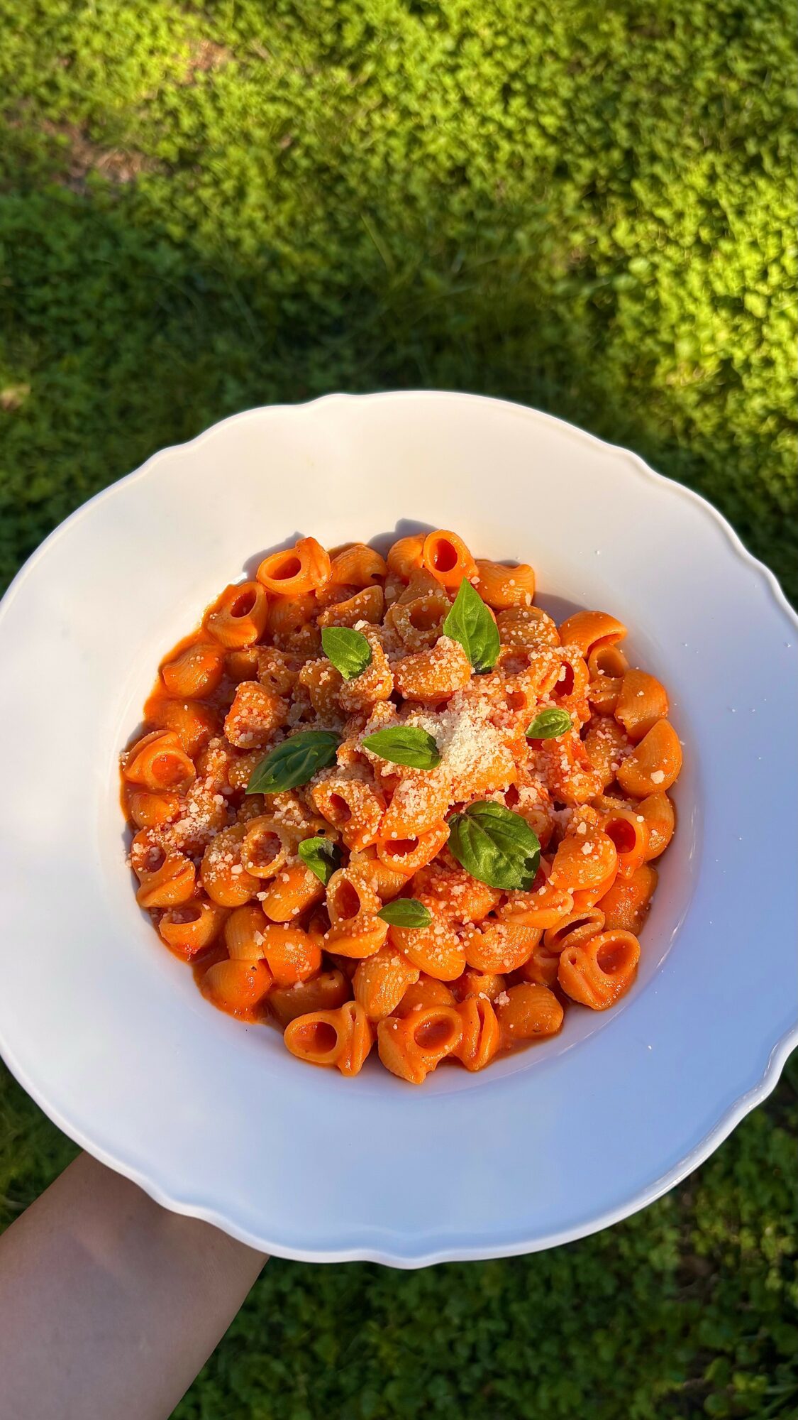 Plate of pasta with tomato sauce, garnished with herbs and grated cheese, held outdoors against green foliage background.