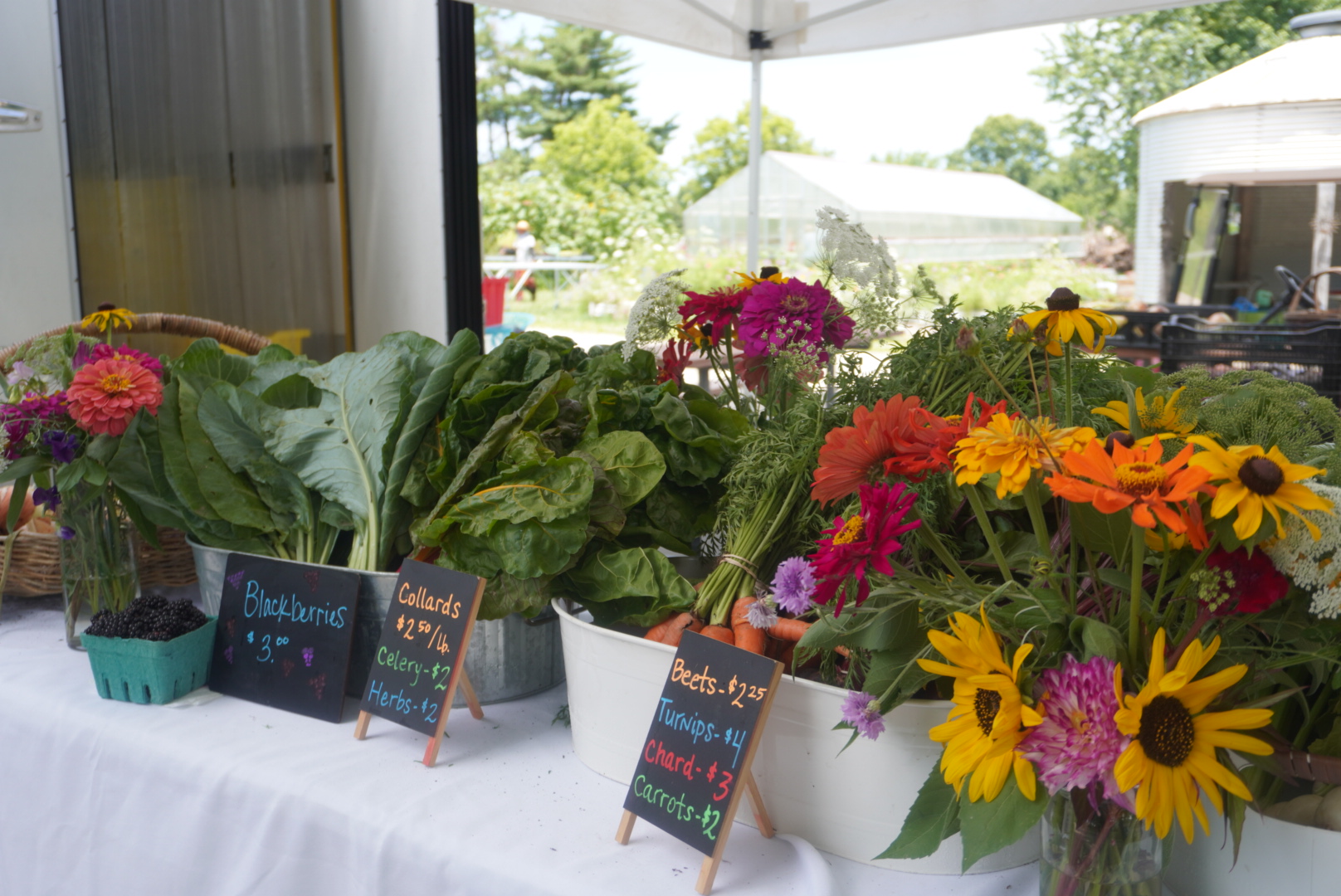 Table with potted flowers and small chalkboard signs at an outdoor market stall.