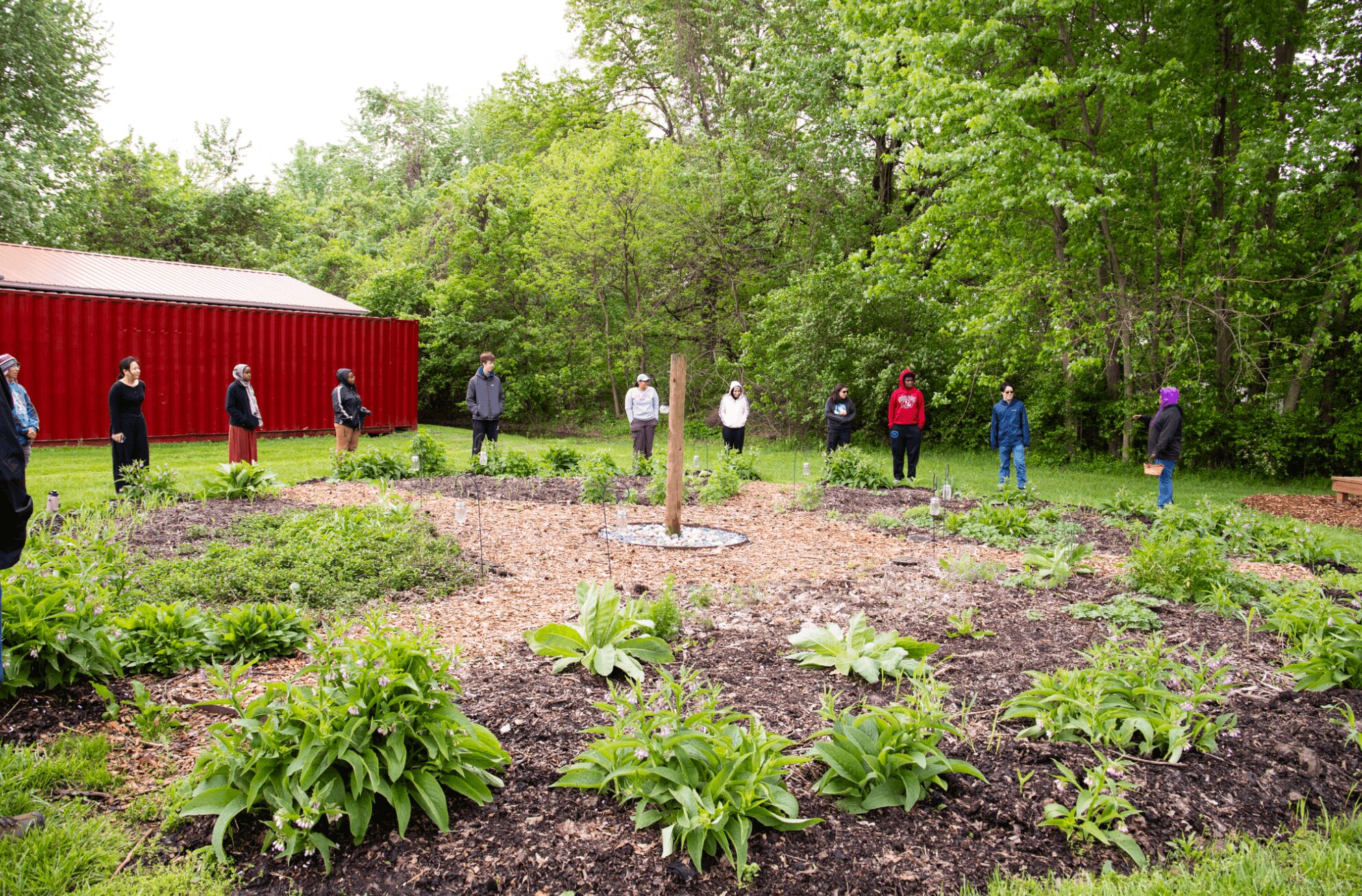 People standing in a line outdoors near trees and a red building, with plants in the foreground.
