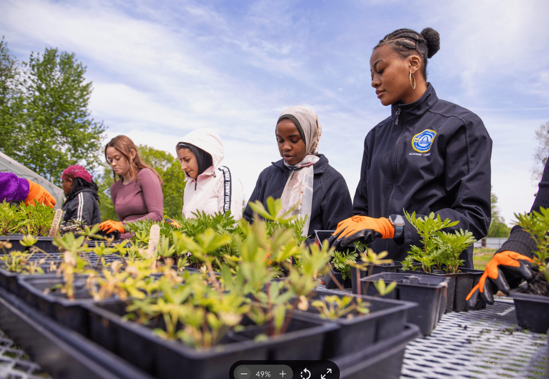 Group of women and girls planting seedlings outdoors on a sunny day, with trays of young plants in foreground.