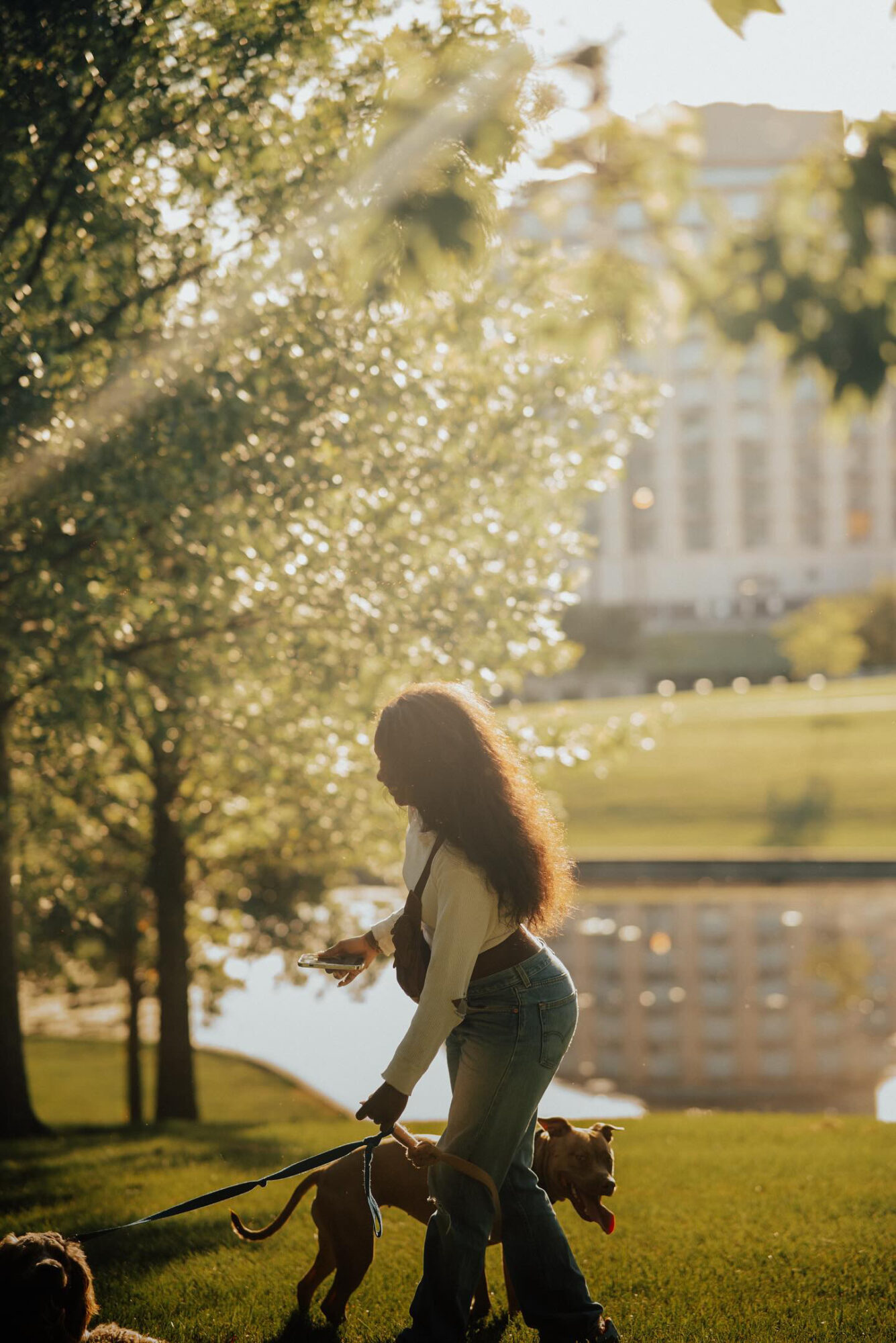 Person with long curly hair walking a dog in a park with sunlight filtering through trees.