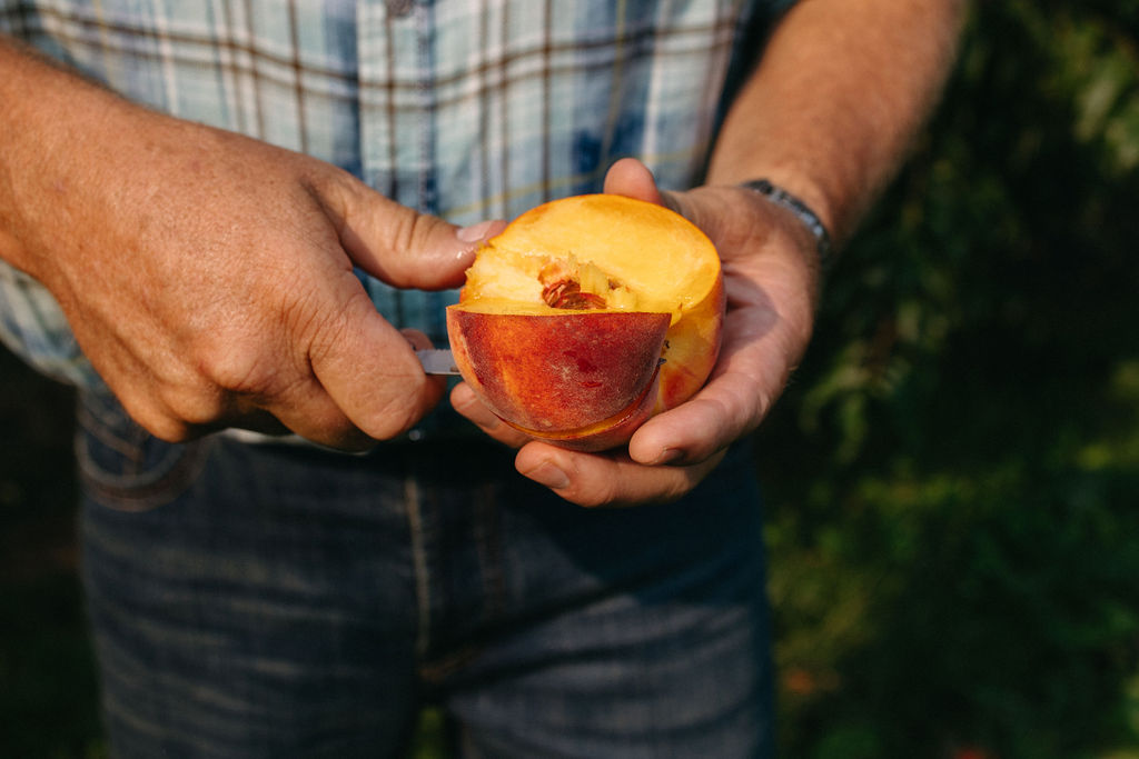 Person holding a halved peach outdoors, with a blurred green background.