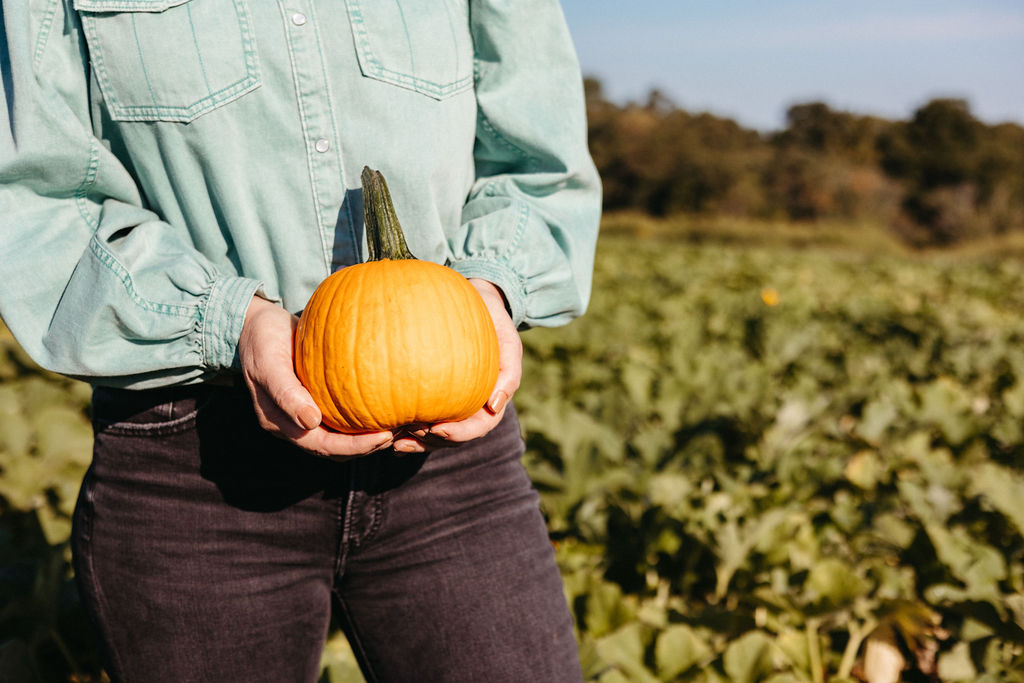 Person holding a pumpkin outdoors in a field with green plants and trees in the background.