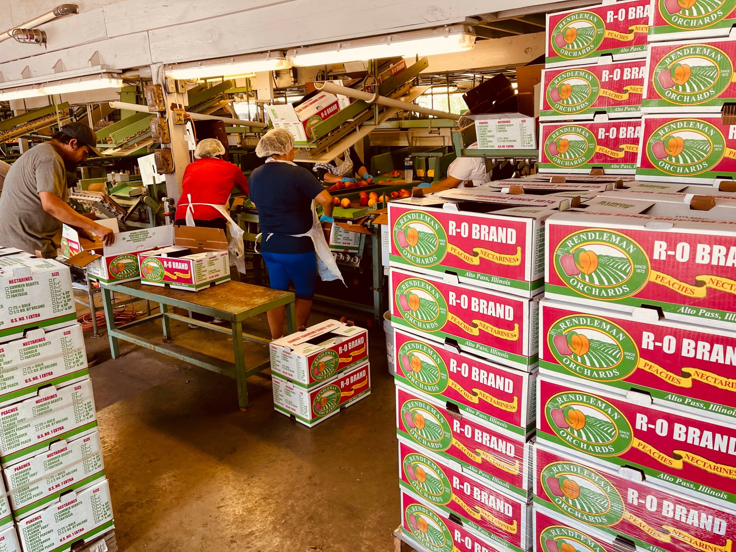 People working in a store with stacked boxes and shelves, some boxes labeled R-O Brand, in a busy environment.
