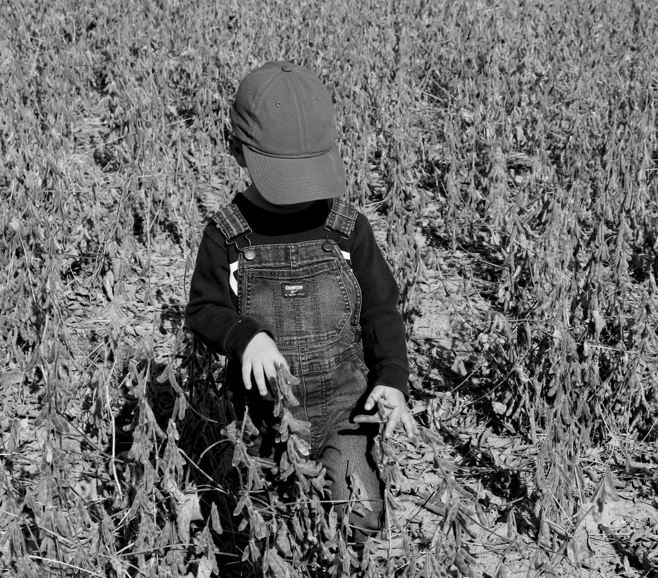 Child wearing a cap and overalls standing in a field of tall plants, head tilted downward, in black and white.