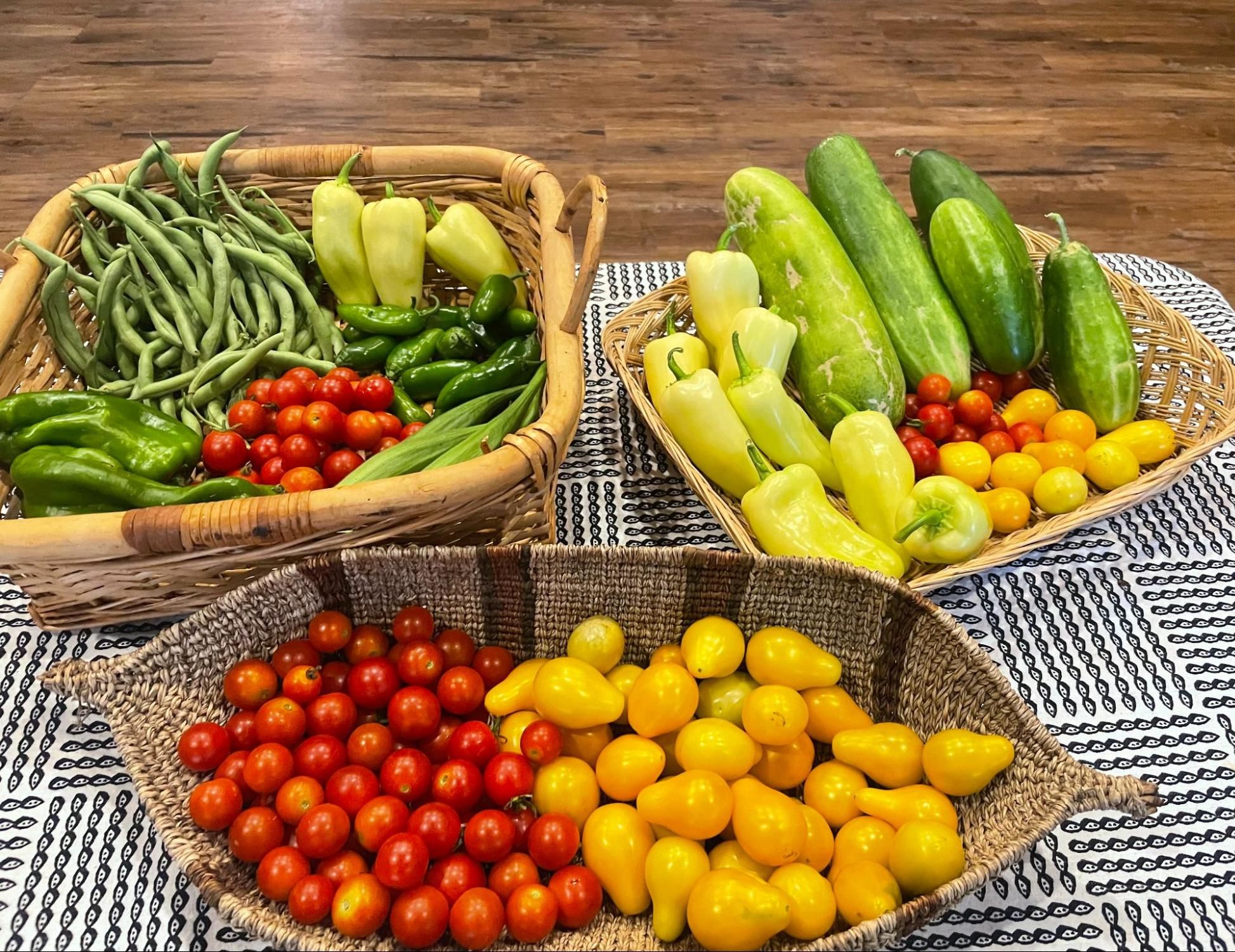 Three baskets filled with various fresh vegetables including cherry tomatoes, yellow tomatoes, cucumbers, green beans, and peppers on a wooden surface.