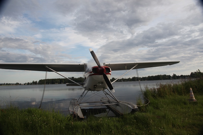 Seaplane on grassy shore with water and cloudy sky in background.