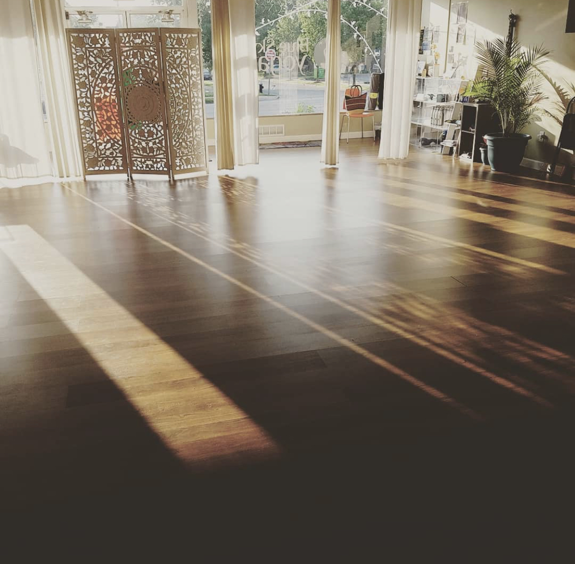 Sunlight streams into a spacious room with wooden flooring, large windows, and plants, creating a warm, inviting atmosphere.
