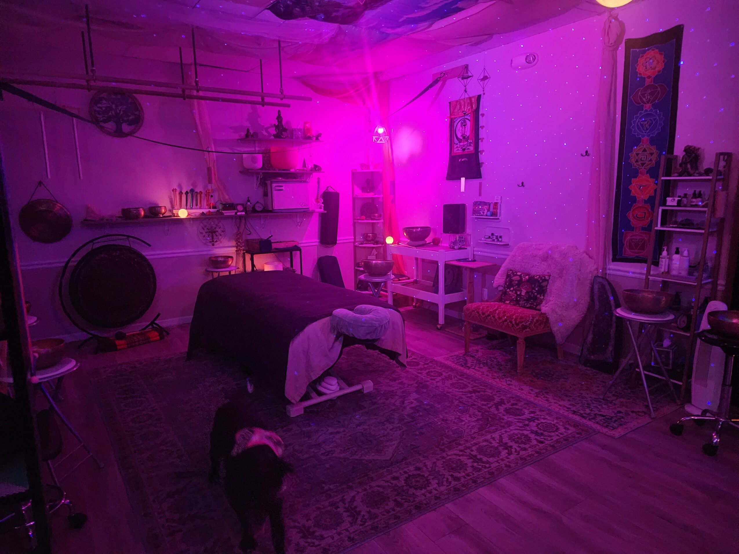 Room with purple lighting, furniture, shelves, and a dog standing on a rug, with various decorations and chairs.