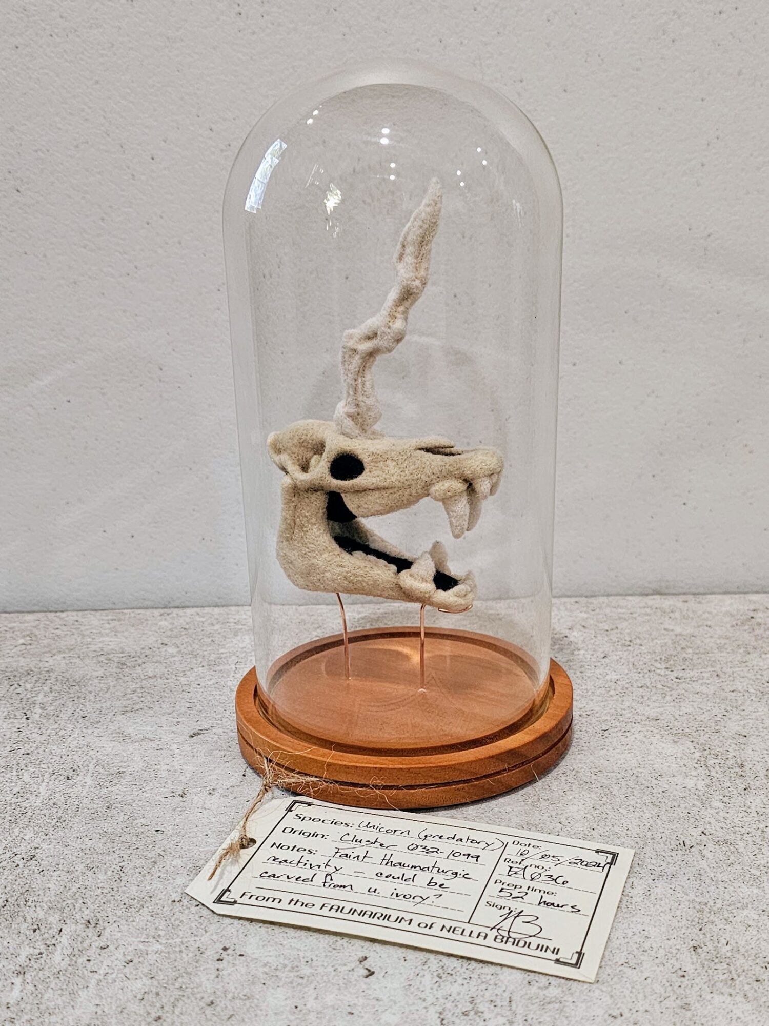 A glass dome displays a twisted, bone-like sculpture on a wooden base, with a handwritten note beneath it.
