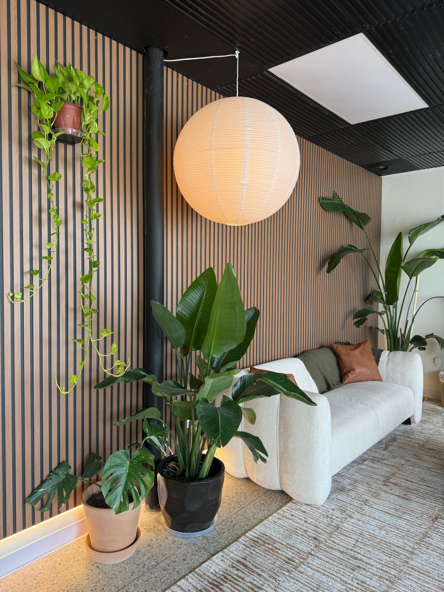 Living room with a white sofa, potted plant, and a round paper lantern on a wooden floor.