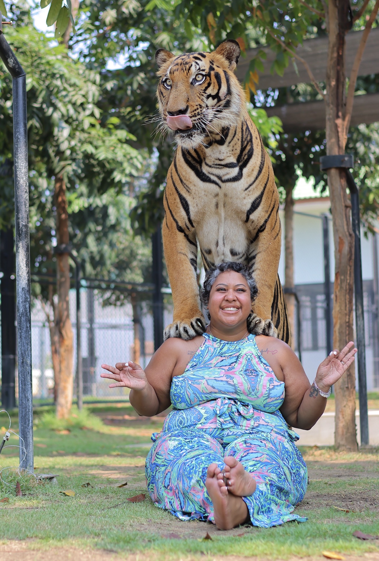 Woman sitting cross-legged outdoors with a tiger standing behind her, trees and a fence in the background.