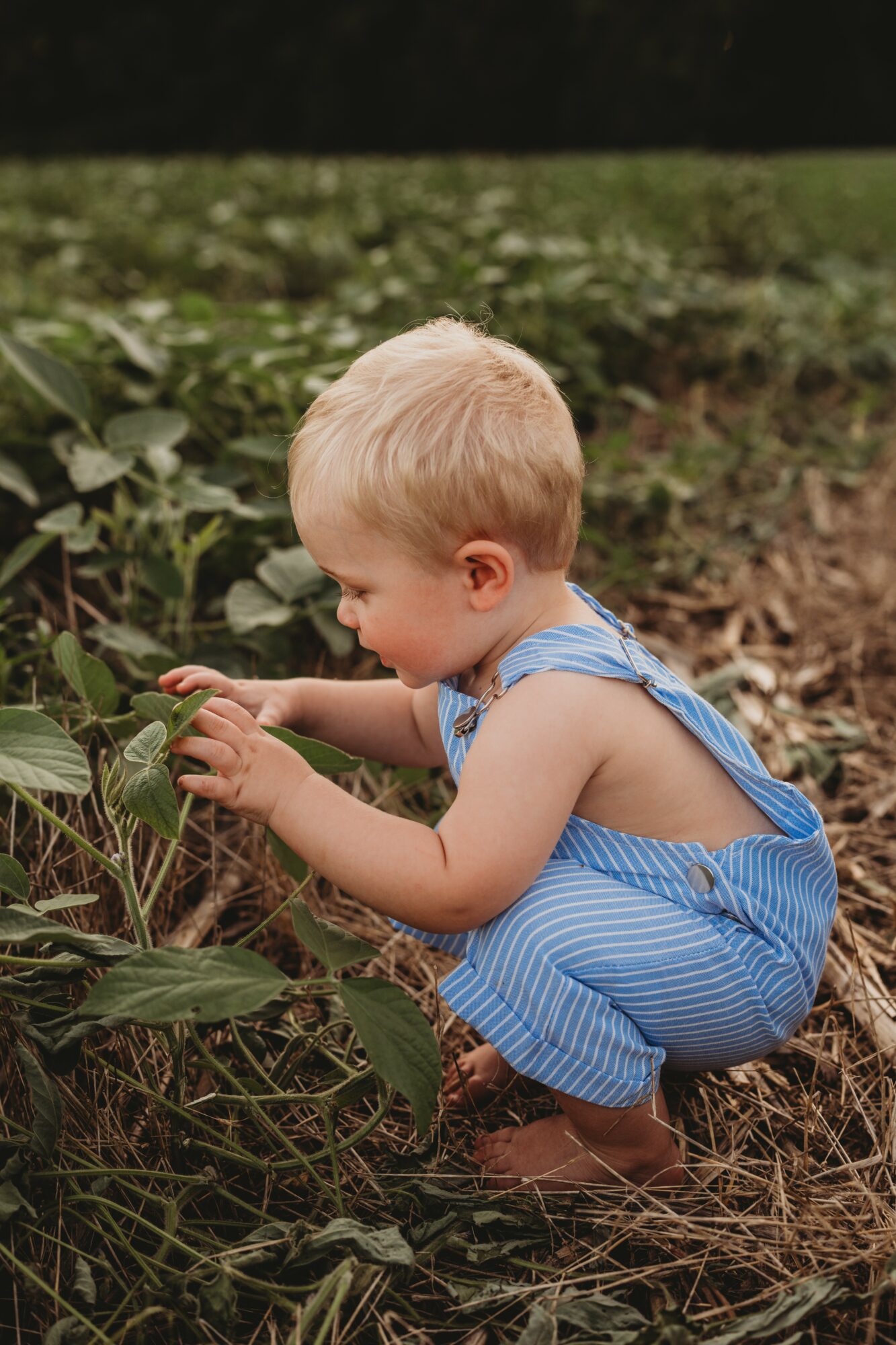 Young child with blonde hair crouching outdoors, examining plants with green leaves, wearing a blue striped outfit, surrounded by natural environment.