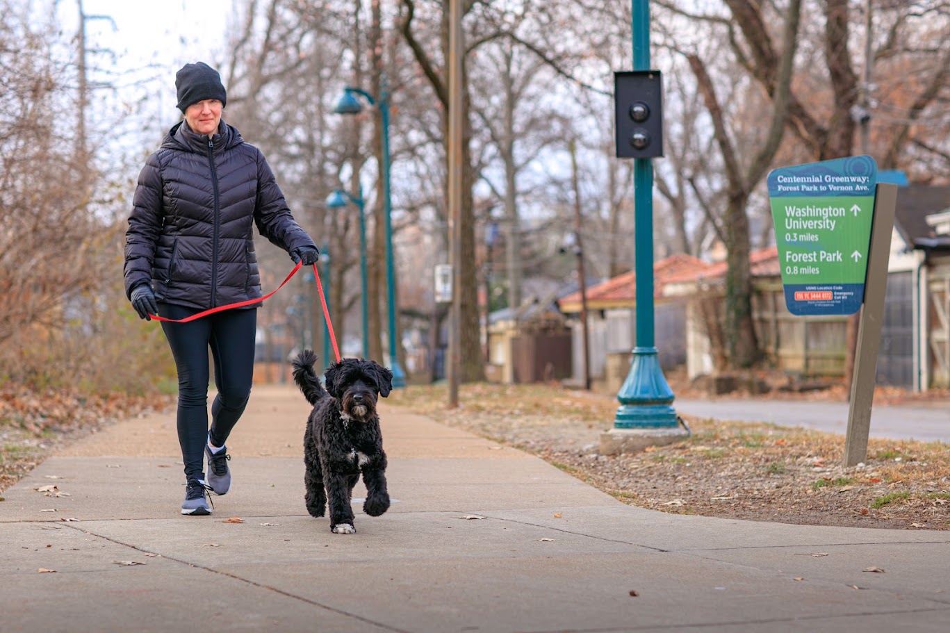 Person walking a black dog on a leash in a park during winter, with trees and park signs in the background.