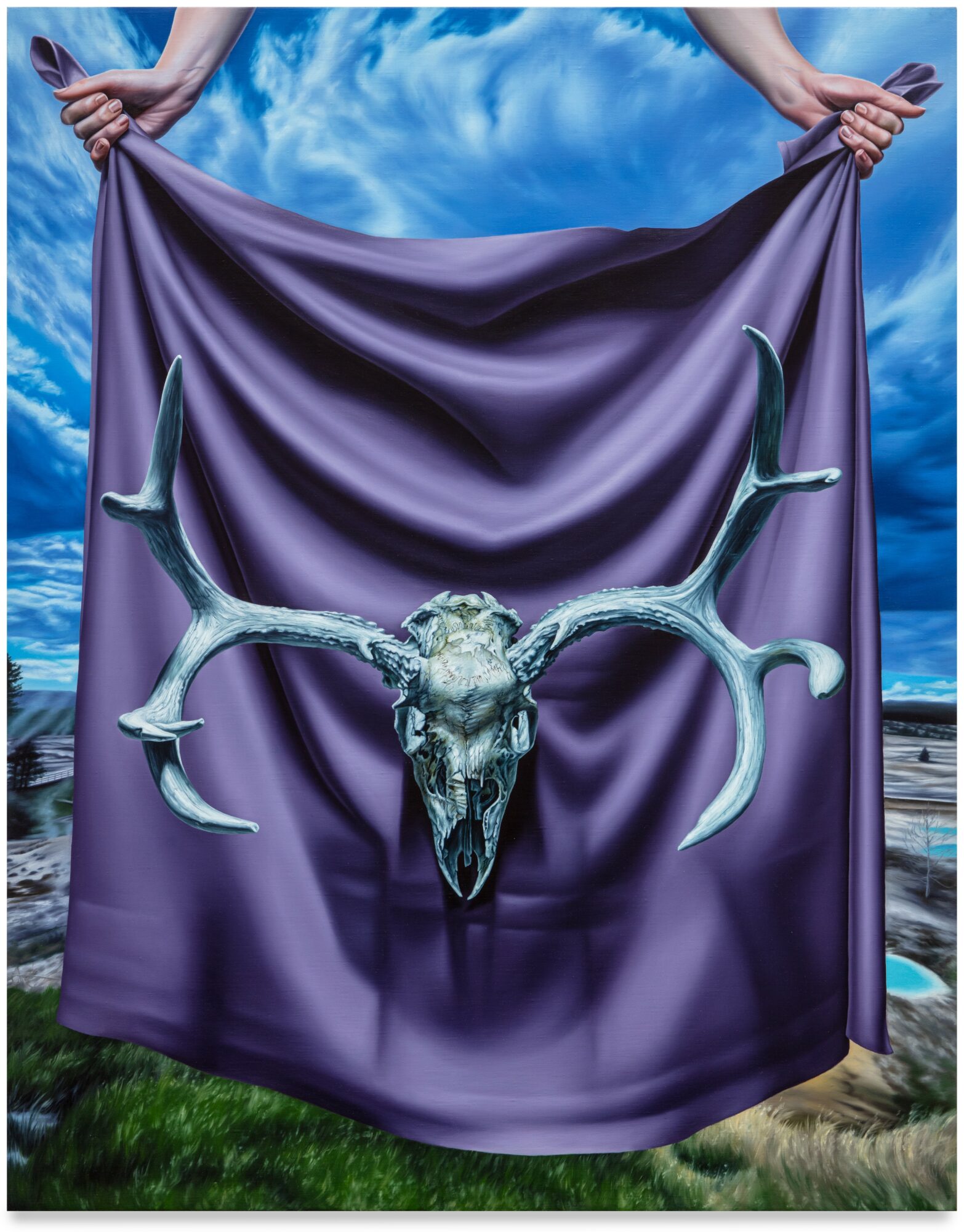 Person holds a purple cloth with a mounted animal skull and antlers in front of a cloudy sky and landscape.