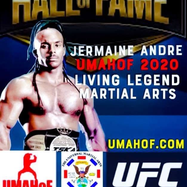 Promotional poster featuring a shirtless man with long hair, text about martial arts and UFC, and a logo with a red figure.