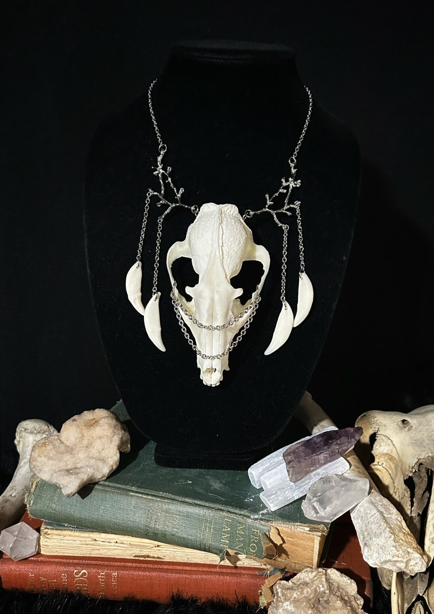 Necklace with a skull pendant displayed on a black bust, surrounded by rocks and crystals, with old books below.
