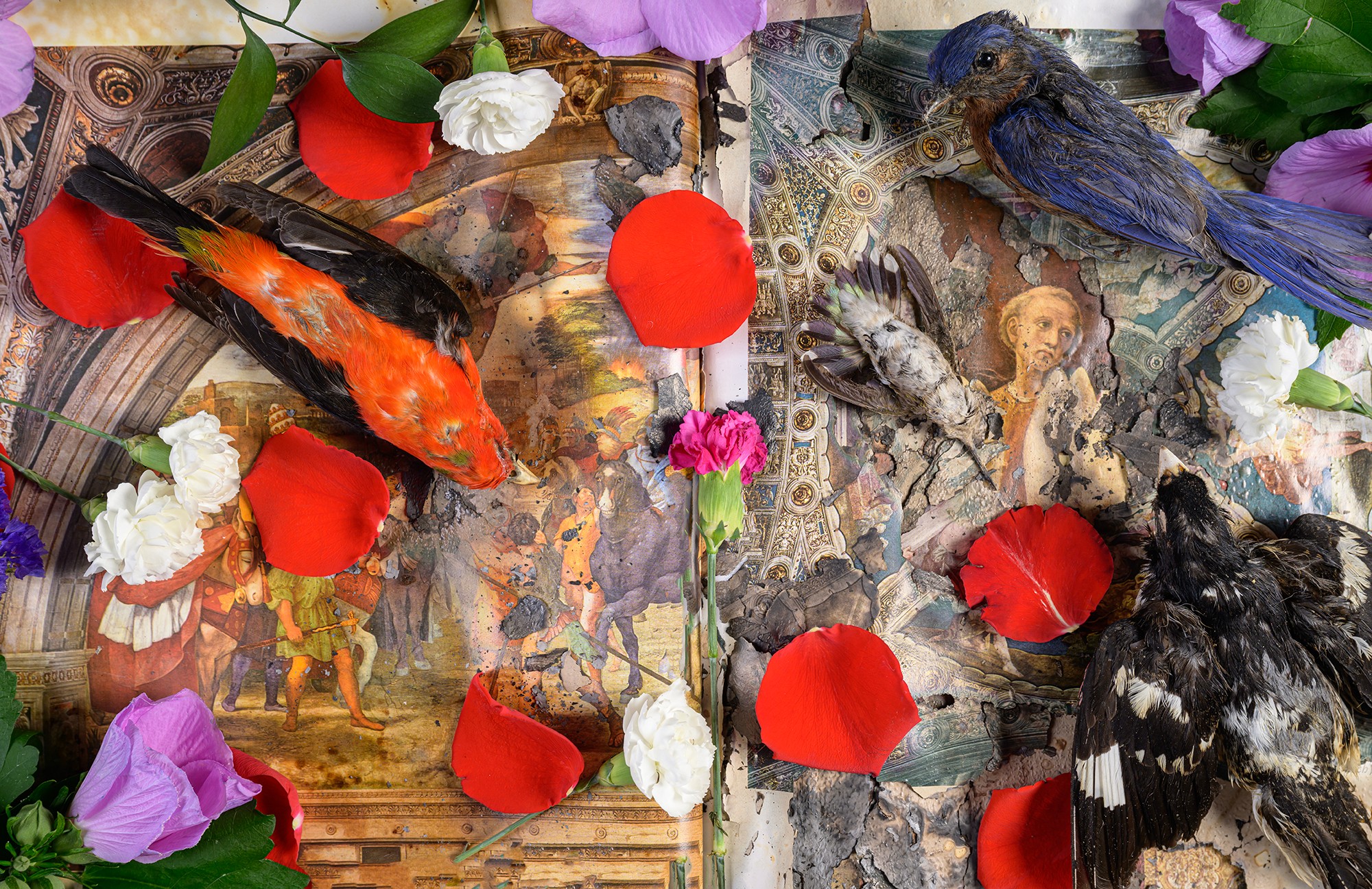 Two colorful birds surrounded by flower petals on a textured surface with additional flowers around.
