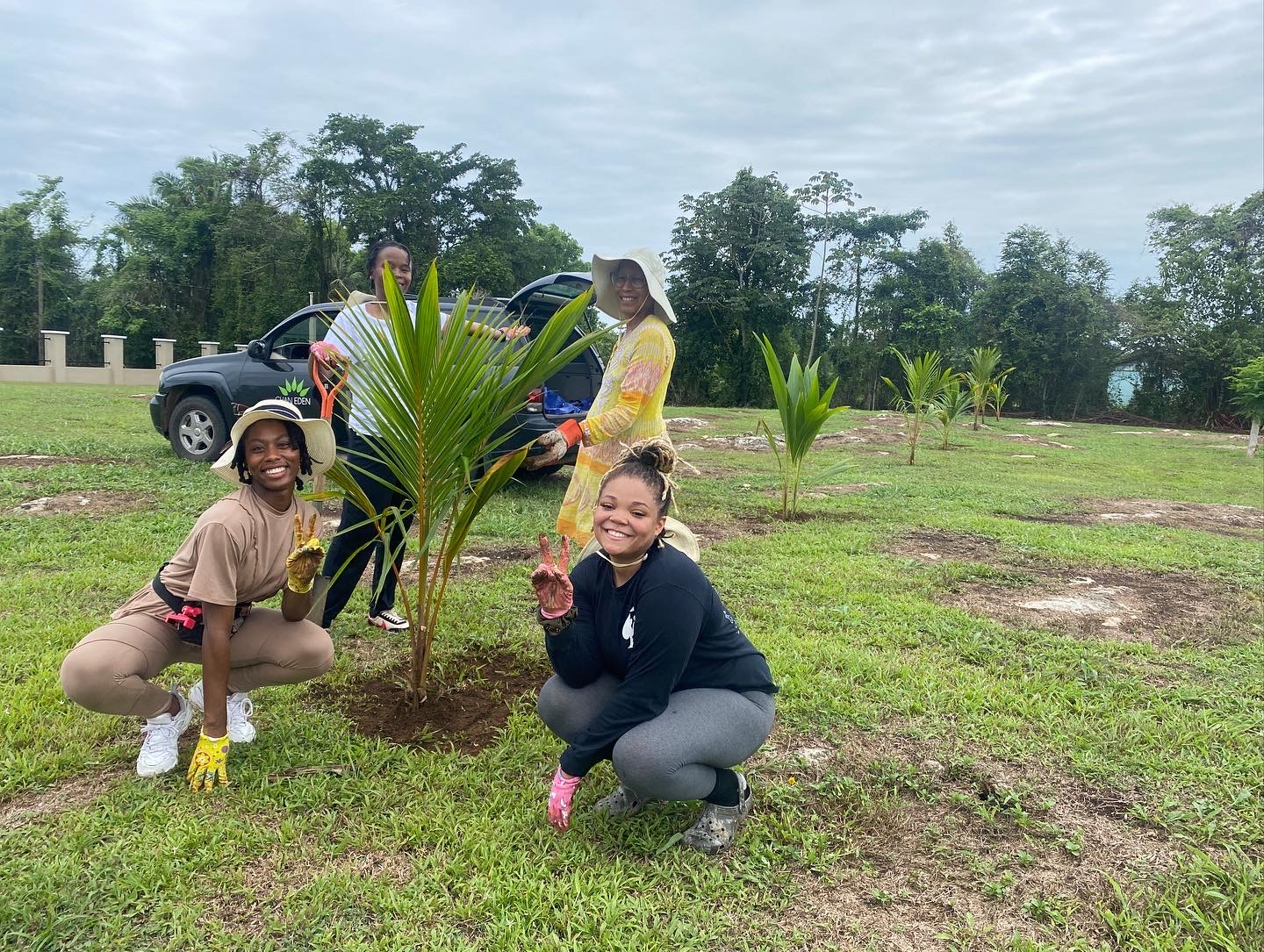 Four people planting a small palm tree outdoors, with a car and trees in the background, on a cloudy day.